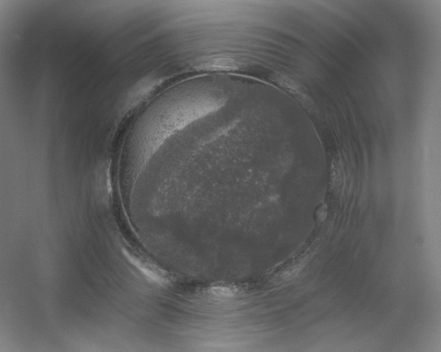 X0000056000302200508221330