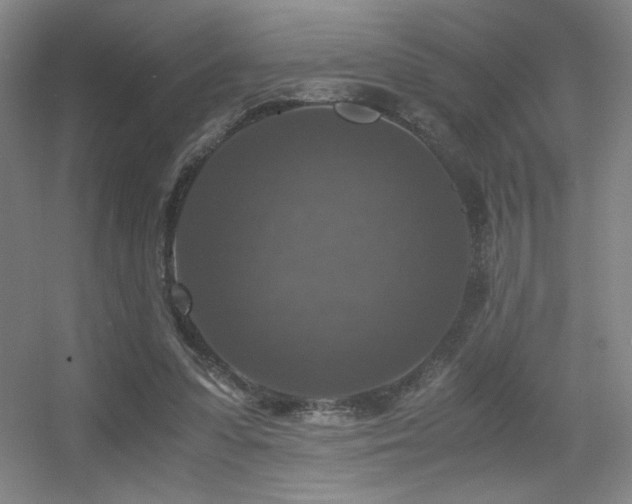 X0000056000303200508221330