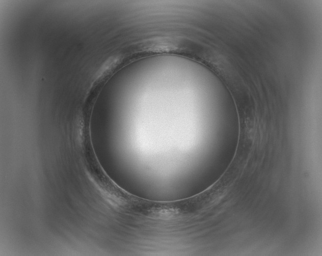 X0000056000304200508221330