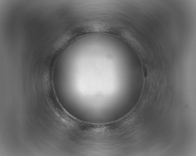 X0000056000306200508221330