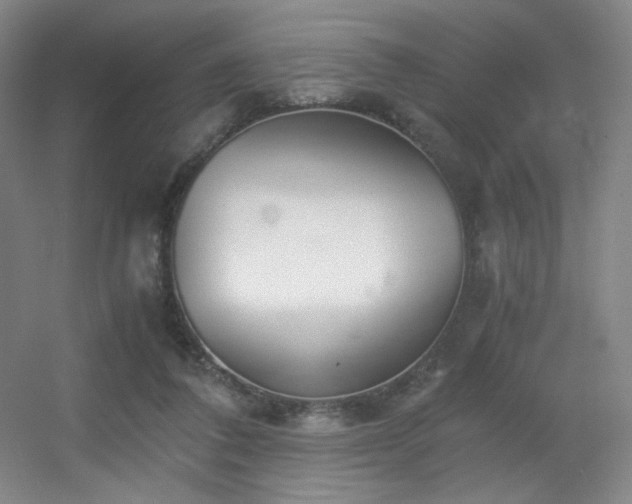 X0000056000308200508221330