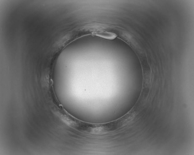 X0000056000309200508221330