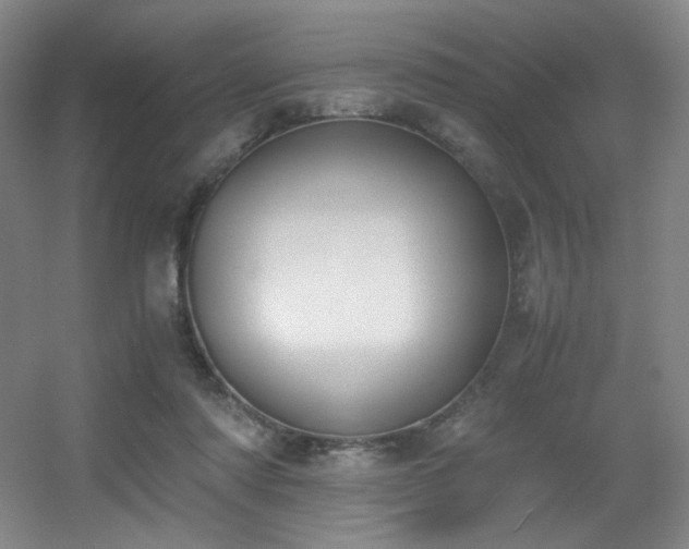 X0000056000310200508221330