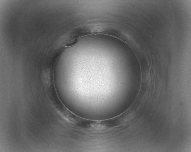 X0000056000311200508221330