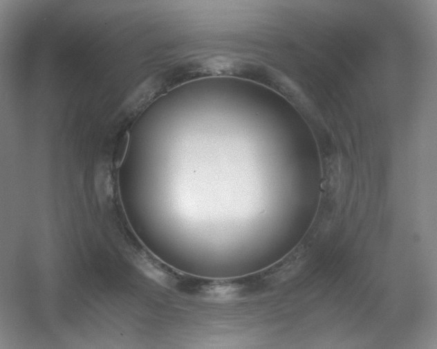 X0000056000313200508221330