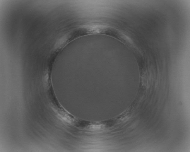 X0000056000314200508221330