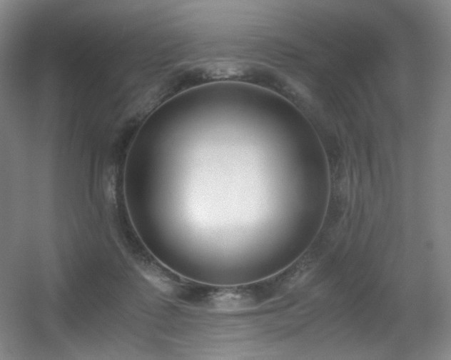 X0000056000315200508221330