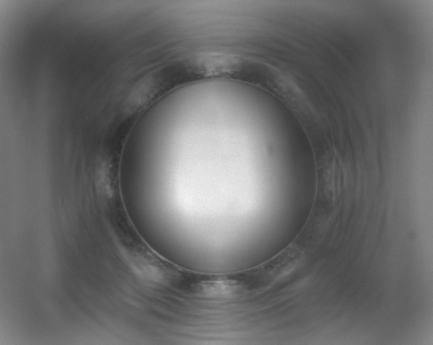 X0000056000316200508221330