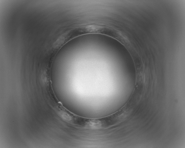 X0000056000317200508221330