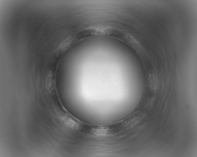 X0000056000318200508221330