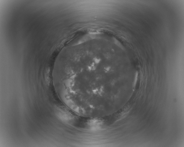 X0000056000319200508221330