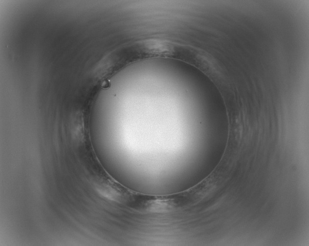 X0000056000320200508221330