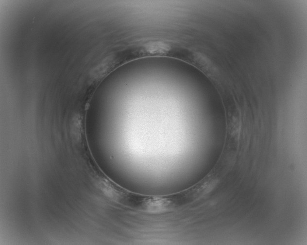 X0000056000321200508221330