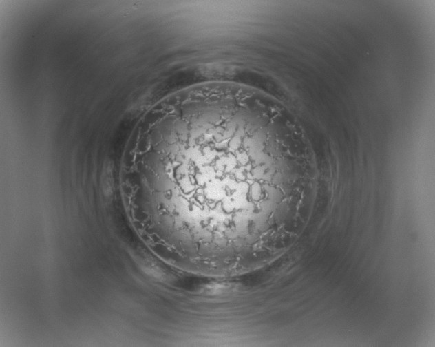 X0000056000323200508221329