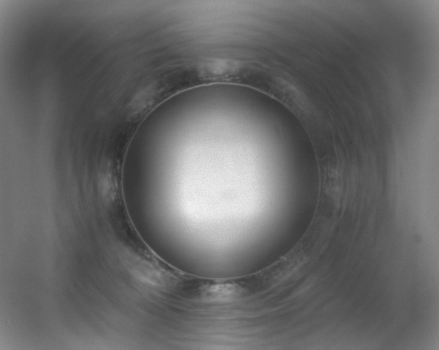 X0000056000324200508221329