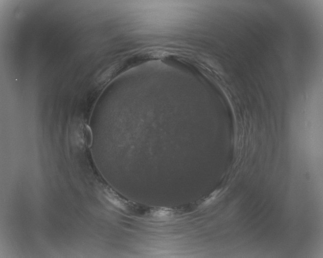 X0000056000325200508221329