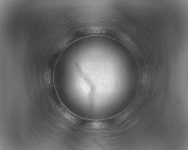 X0000056000326200508221329