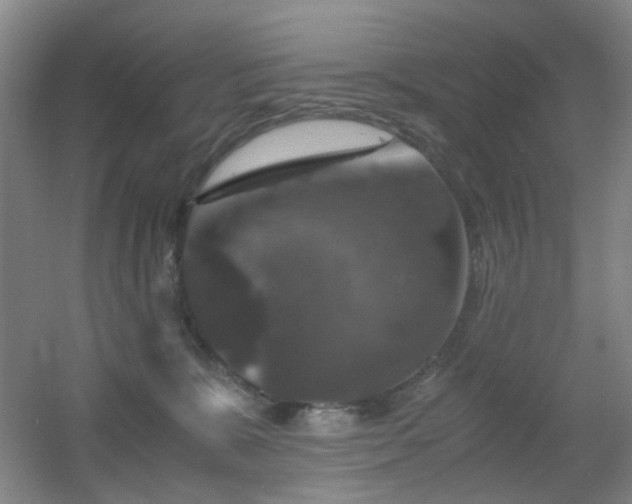 X0000056000327200508221329