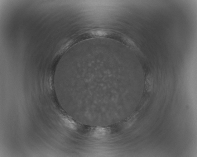 X0000056000330200508221329