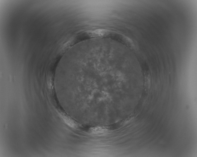 X0000056000331200508221329