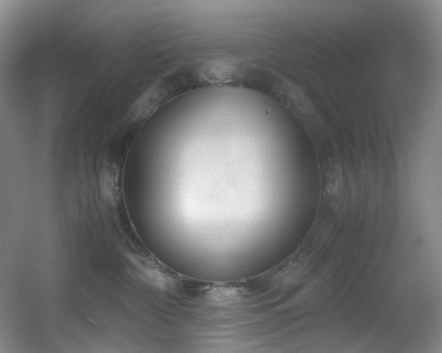 X0000056000332200508221329