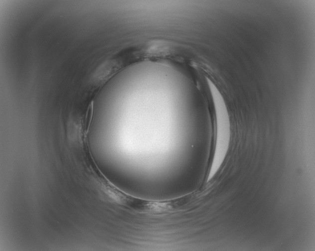 X0000056000333200508221329