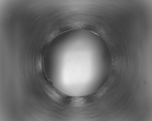 X0000056000334200508221329