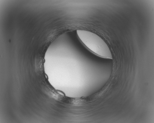 X0000056000336200508221329