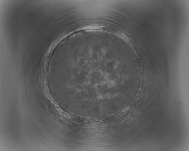 X0000056000337200508221328