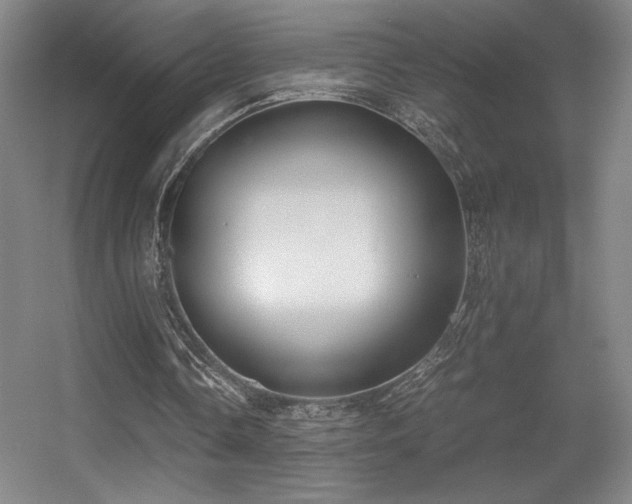 X0000056000338200508221328