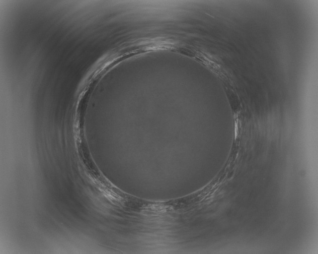 X0000056000339200508221328