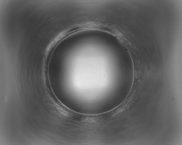 X0000056000341200508221329