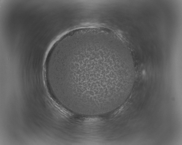 X0000056000342200508221329