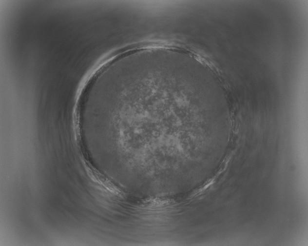 X0000056000343200508221329