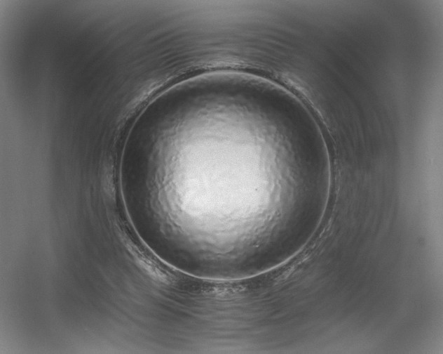 X0000056000345200508221329