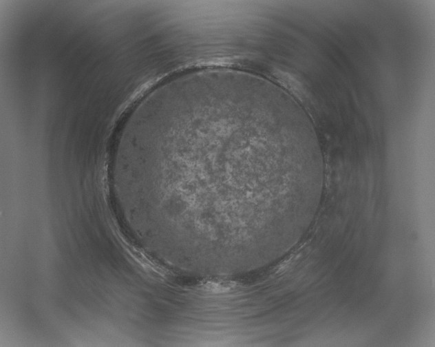 X0000056000346200508221329