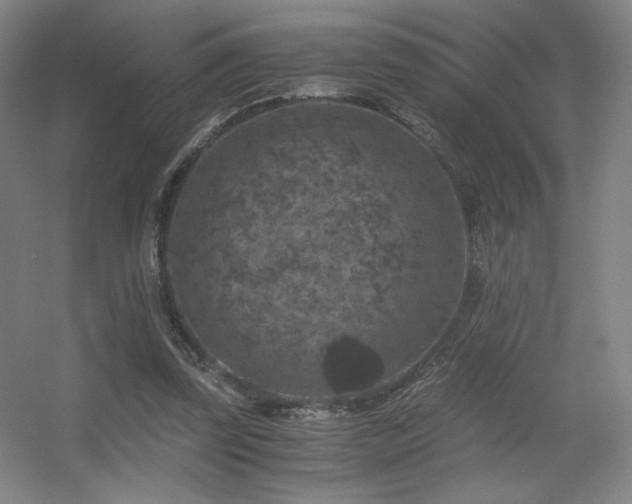 X0000056000347200508221329