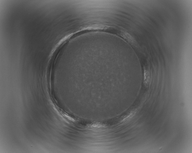 X0000056000348200508221329