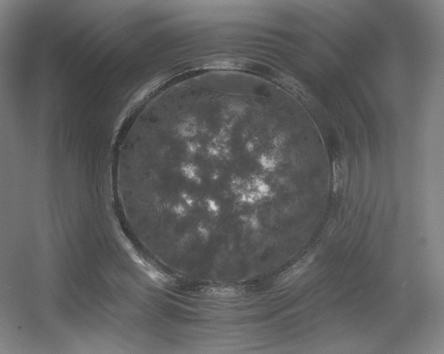 X0000056000349200508221329