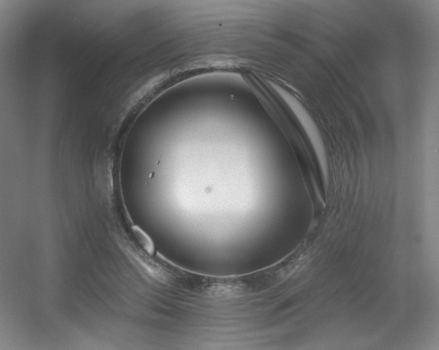 X0000056000350200508221329