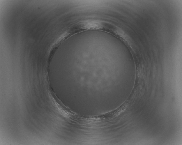 X0000056000353200508221329