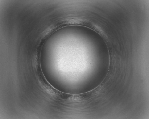 X0000056000354200508221329