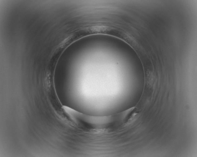 X0000056000356200508221329