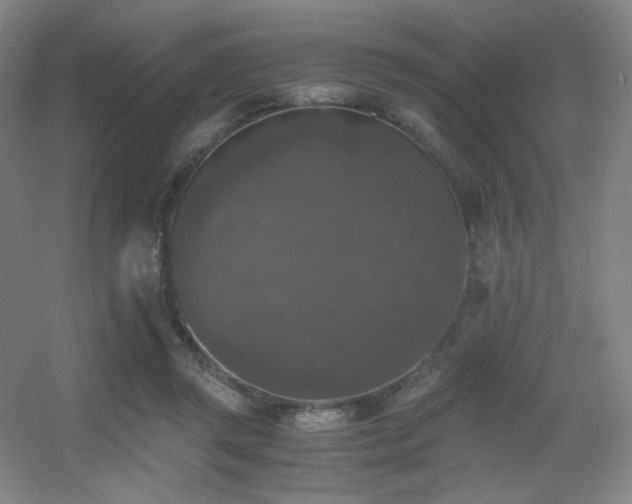 X0000056000357200508221329