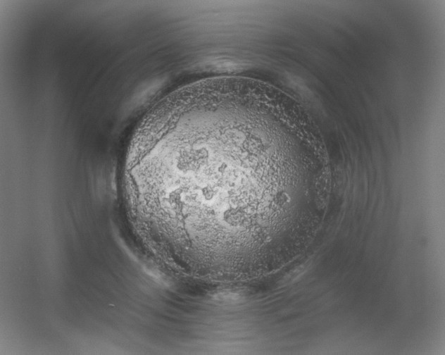 X0000056000358200508221329