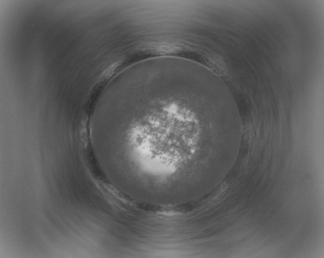 X0000056000360200508221329