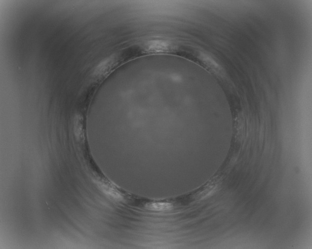 X0000056000361200508221329