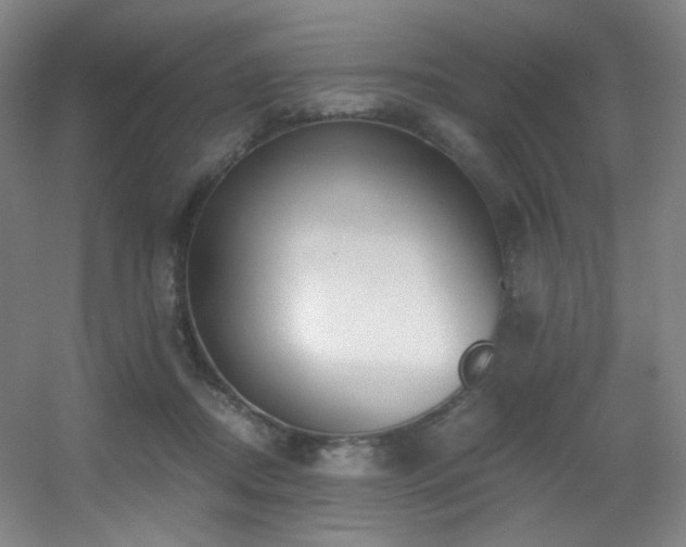 X0000056000362200508221329