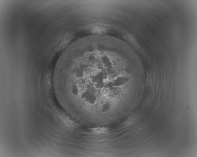 X0000056000363200508221329