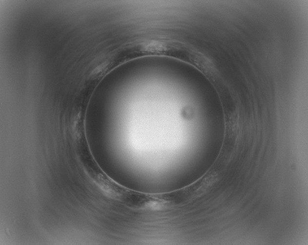 X0000056000364200508221329